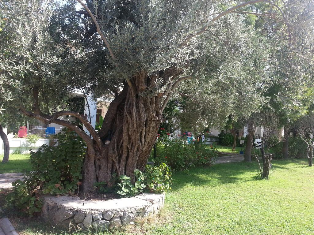 Muskebi Apart Otel Ortakent Esterno foto